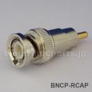 BNCP-RCAP