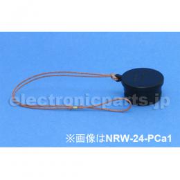 NRW-28-PCa・1